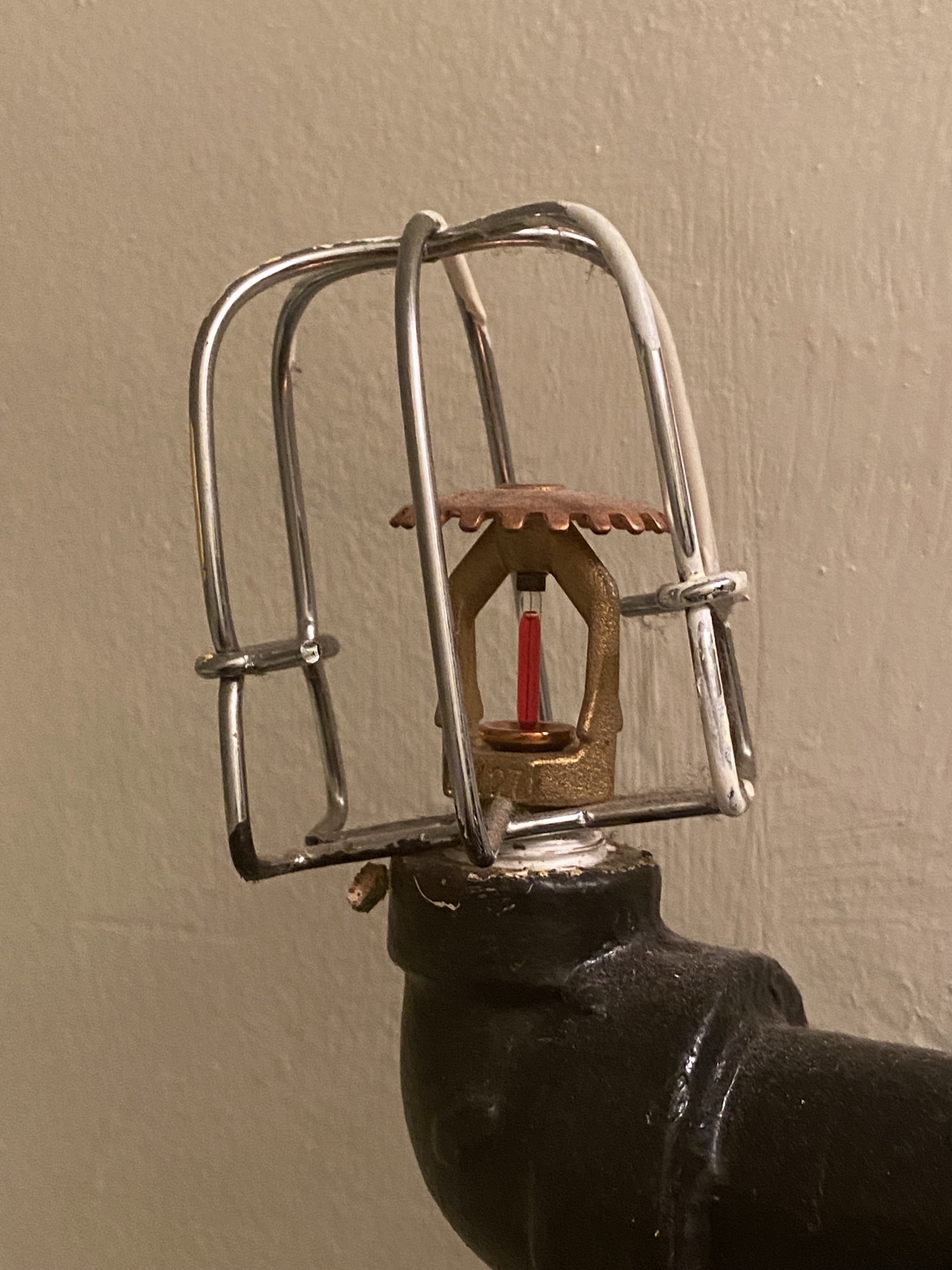 A brass upright sprinkler head with a red glass bulb, inside a chrome guard cage, on black painted pipework.